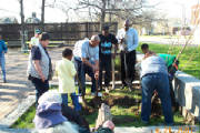 4clairmontparkmemplanting.jpg